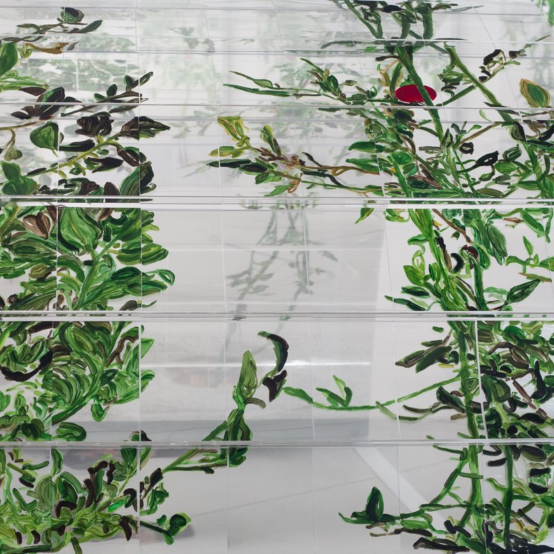 Alex Fischer, 1, 2015-02-26